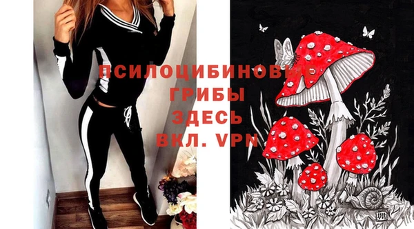 mdpv Алексеевка