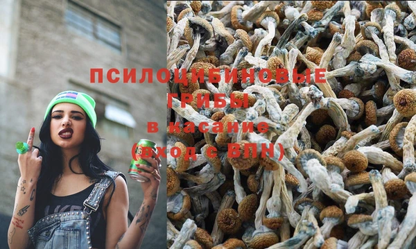 mdpv Алексеевка