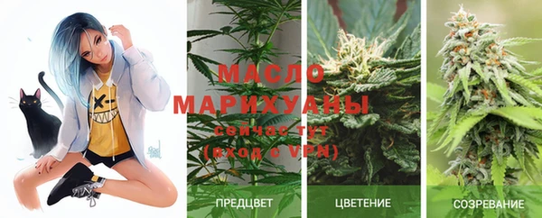 прущие грибы Алзамай