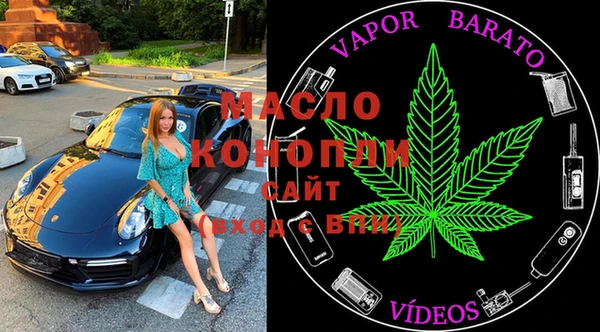 мдпв Абаза