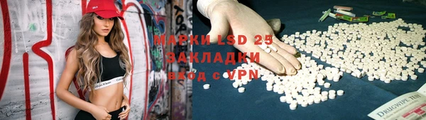 прущие грибы Алзамай